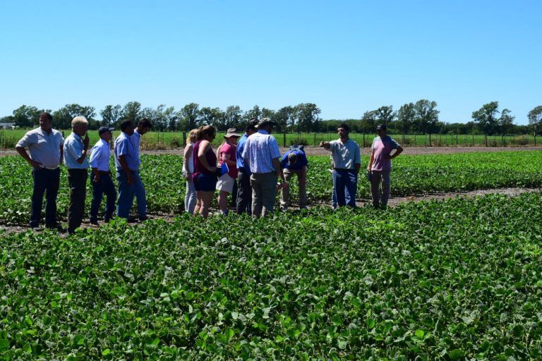 ACA: Llegan las Jornadas a Campo en Ramírez (E.R.) y Hernando