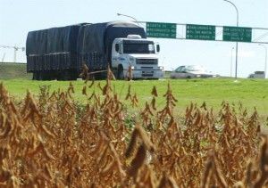 campo-2602451w620