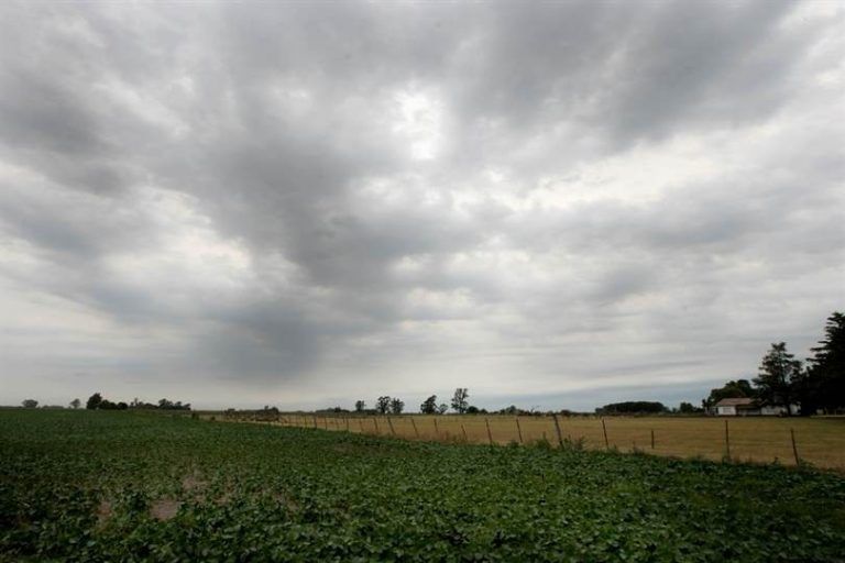 Hubo lluvias heterogéneas y se mantiene la falta de humedad en varias zonas agrícolas