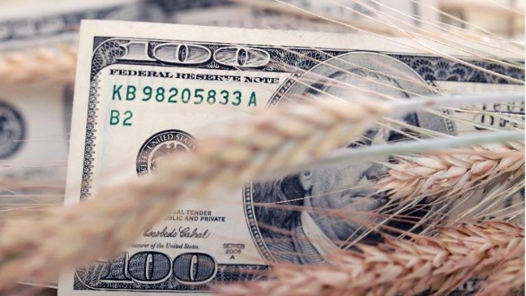La liquidación de agrodólares cayó 10,5% en 2017, pese a la cosecha récord