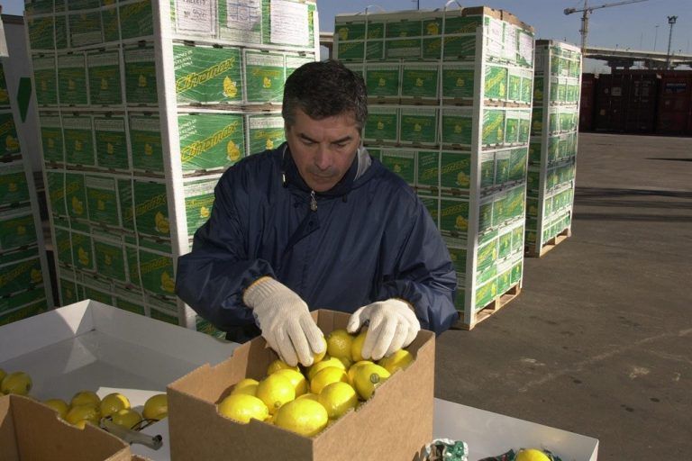 El Senasa reducirá a partir de hoy más trámites para la producción