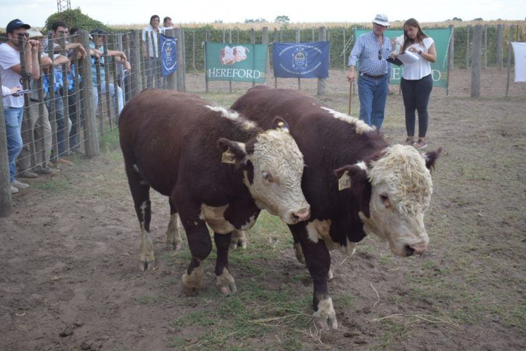 En establecimiento La Toma, última Jura del Concurso Hereford de Criadores y UCC.