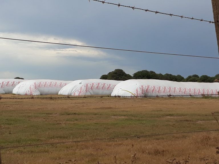 Argentina exportará tecnología para almacenar granos