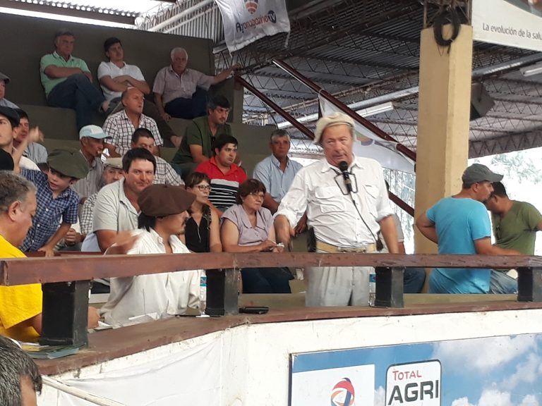 Remate de Consignaciones en Jesús María: Ingreso de 800 Cabezas, con Gordos e Invernada.