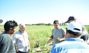 aproduco