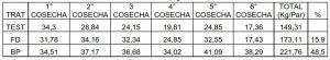 compo