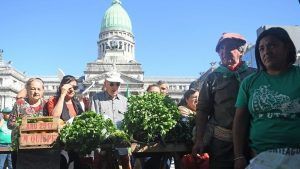 verdurazo