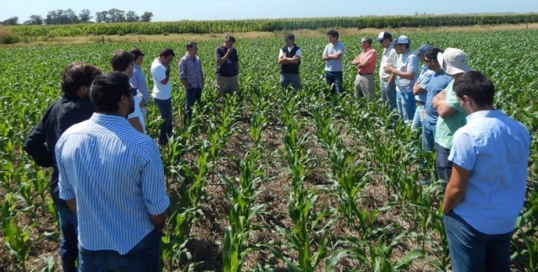Cumbre de Jefes Científicos Agrícolas analizó Rela ción entre Productores y Tecnología.