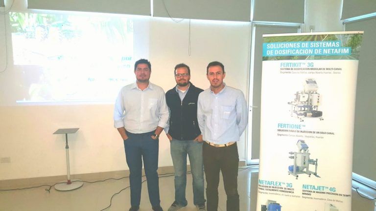 El riego por goteo subterráneo posibilita mejorar el rendimiento en maíz