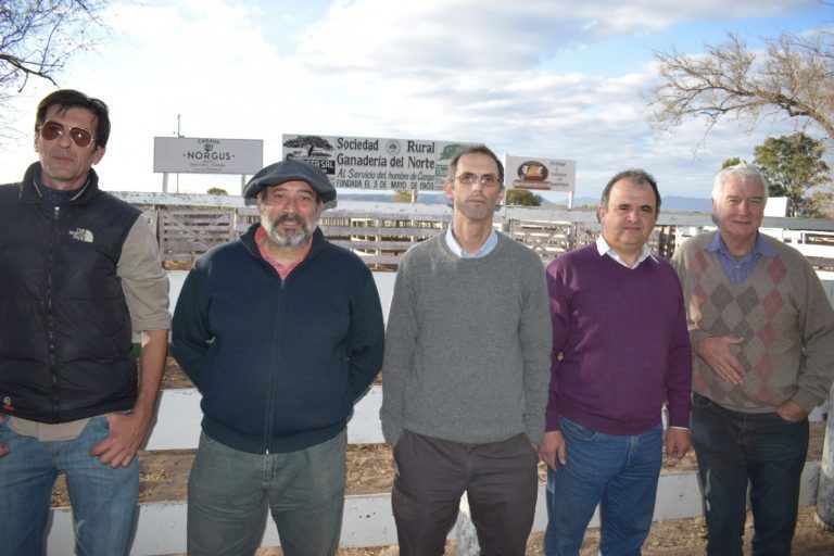 Ganadería: En el Norte cordobés tratan de revertir la Garrapata y la Tristeza Bovina.