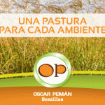 PEMAN 340-x-250