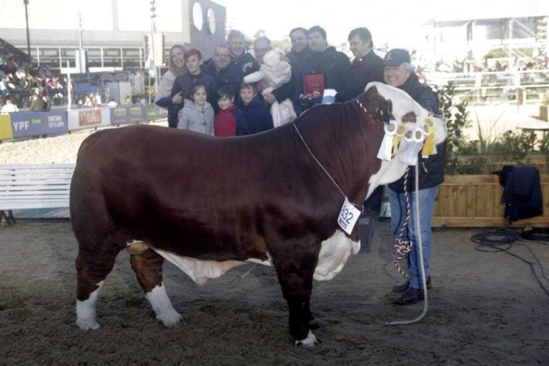 La Exposición Rural de Palermo consagró a sus Campeones en Raza Braford.