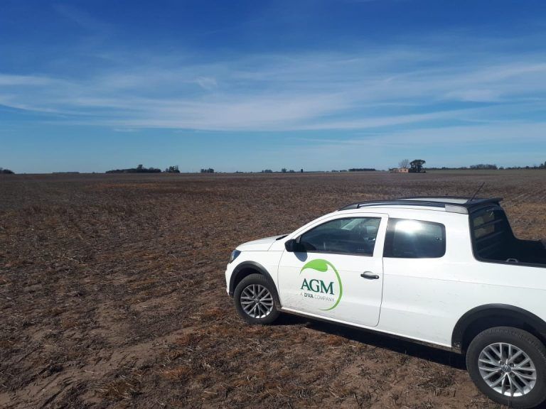 AGM presenta estrategias de manejo de malezas para barbecho y enfermedades en trigo.