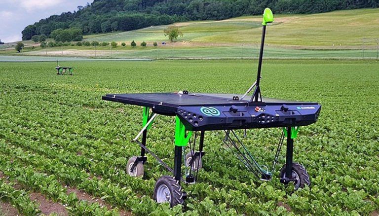 Ecorobotix: la máquina agrícola que trabaja con energía solar y aplica 20% menos de herbicida