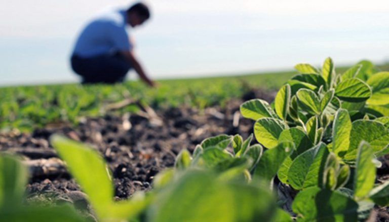 El 17 de agosto festejamos el Día del Ingeniero Agrónomo