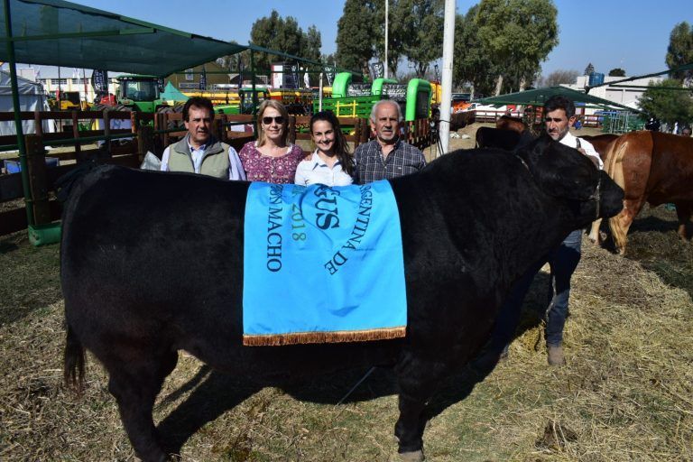 Coronando un Gran Año, Cabaña «El Señuelo» obtuvo el Gran Campeón Angus en Jesús María.