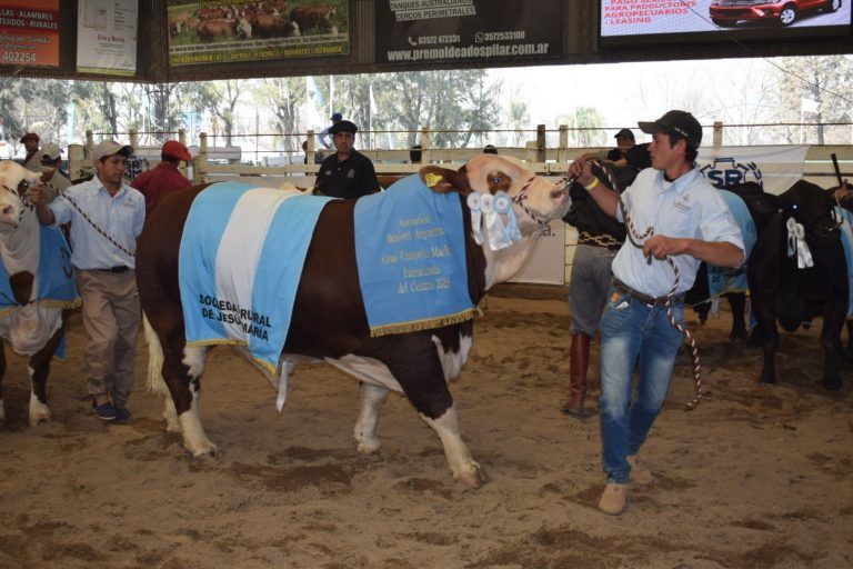 Cabaña La Dominga obtuvo el Gran Campeón Braford en Jesús María.