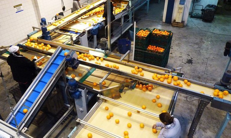 Retenciones a frutas y hortalizas, un golpe letal a las Economías Regionales