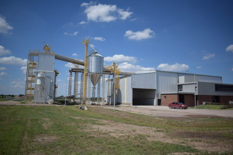 Tecnocampo invierte U$S 7,5 millones en una planta procesadora de granos y semillas para exportar.