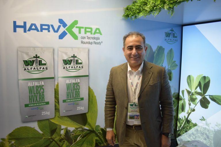 Congreso Mundial de Alfalfa: HarvXtra®presentó en Córdoba su Alfalfa que reduce la lignina.