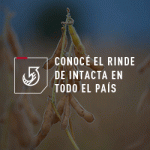 INTACTA-MUNDO-AGRO-CBA-300X250