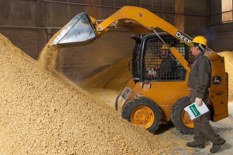 BCCBA:  derecho de exportación desincentiva agregado de valor en Soja
