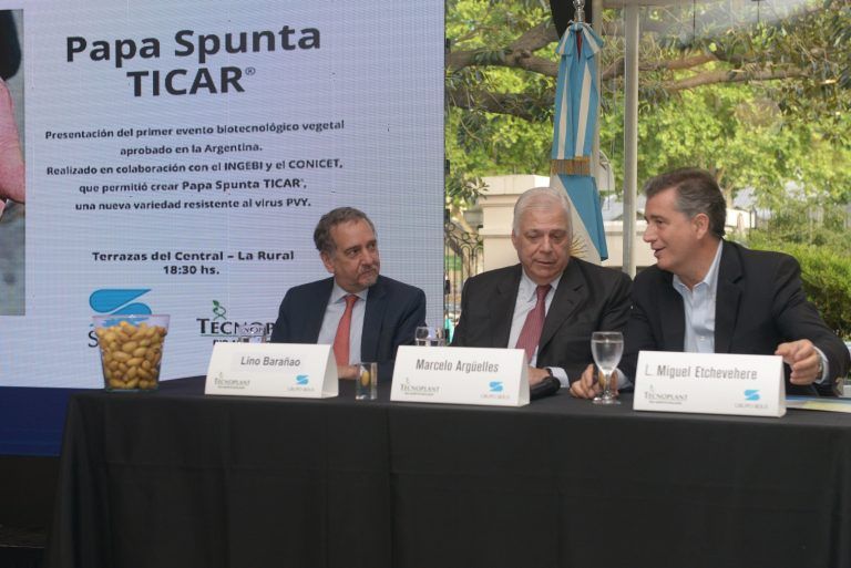 Presentan  una variedad de papa resistente al virus PVY