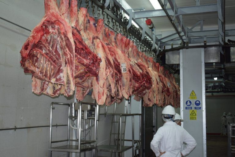 AgroIdeas: Precio de la Carne se estabiliza y cae la faena en Marzo