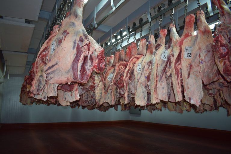 Frigorífico Logros concretó la primera venta de carne congelada con hueso a China.