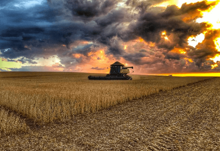USDA: Stocks de Soja sin cambios en último informe de 2018.
