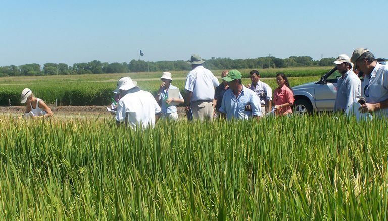 El INTA enseñará agroecolgía de manera virtual y gratuita