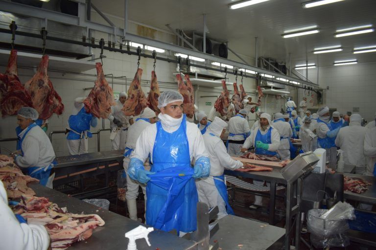 Precios de la hacienda y la carne le ganan a la inflación