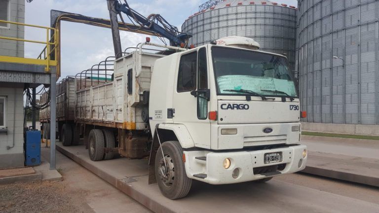 BCCBA: Ingreso a planta de ACA Bío Primer Lote cosechado de Maíz.