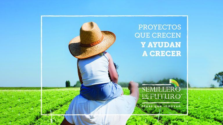 Semillero de Futuro lanza su edición 2019 apoyando proyectos de impacto social