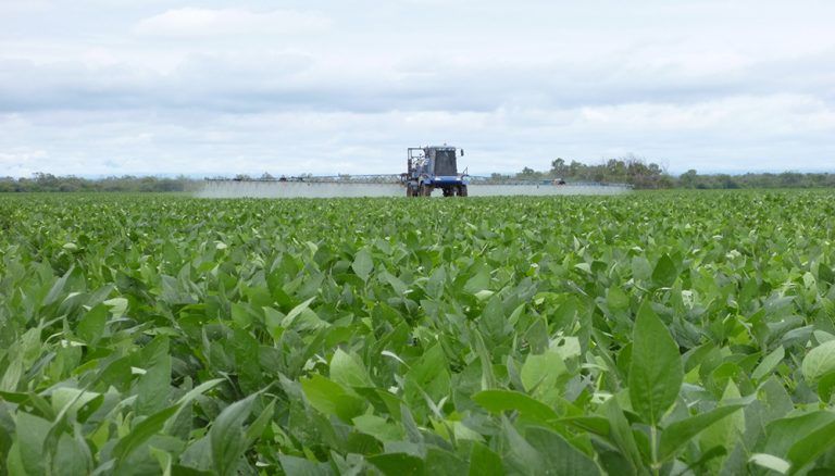 Fue récord la importación de fertilizantes en 2018