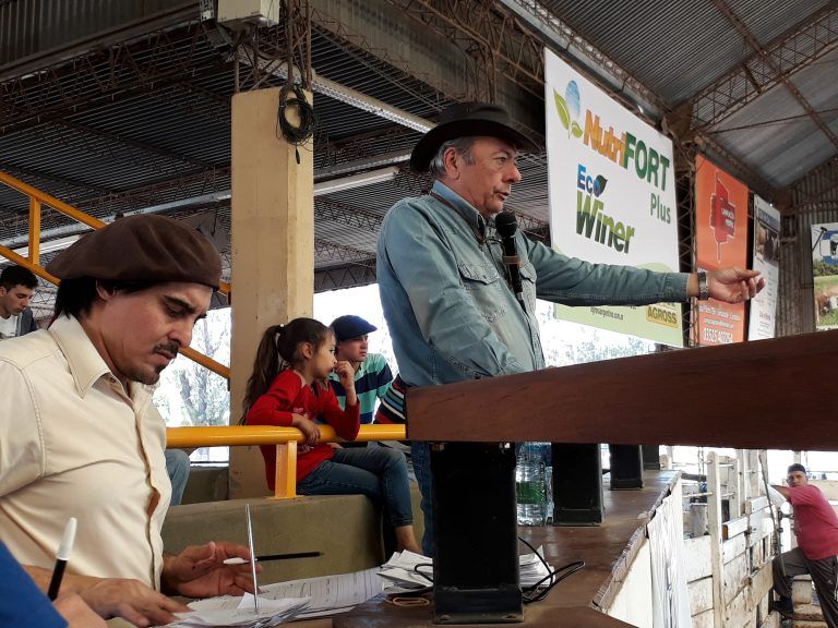 Remate de Consignaciones Córdoba: Ingreso de 1.200 Cabezas en Jesús María.