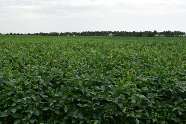 Indice Ag Barometer: La confianza de los productores creció un 11%