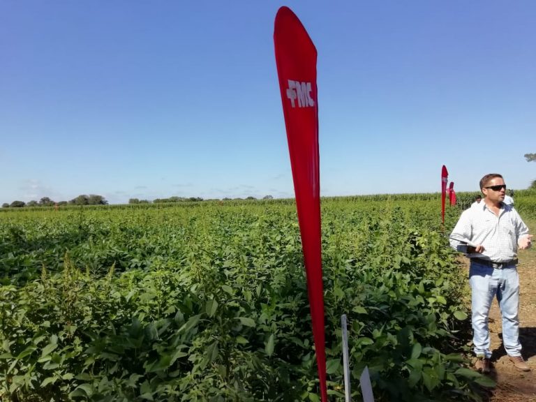 FMC presentó control de Amaranthus en ensayos realizados en Río II