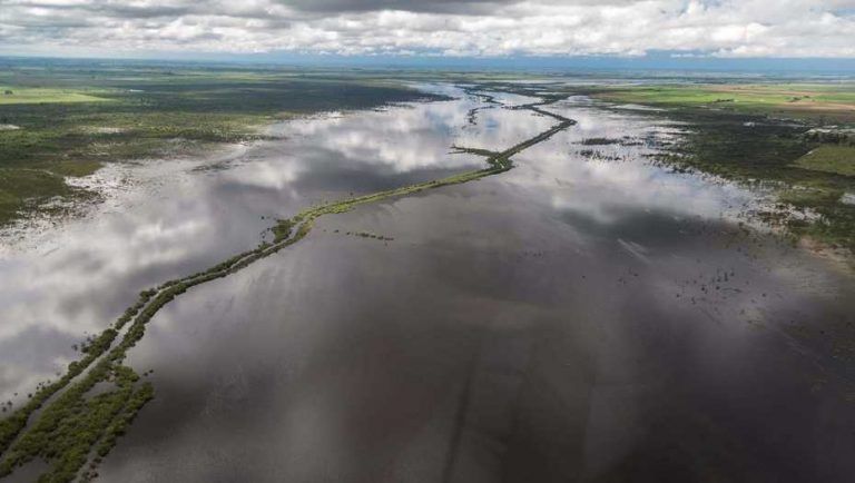 Declaran Emergencia Agropecuaria para 200.000 ha anegadas en Córdoba.