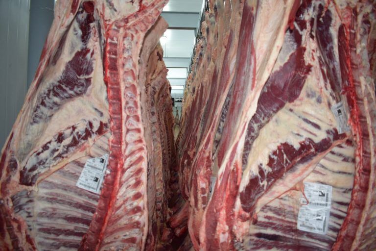 AgroIdeas: Faena cae 7 % en primer bimestre respecto a 2020