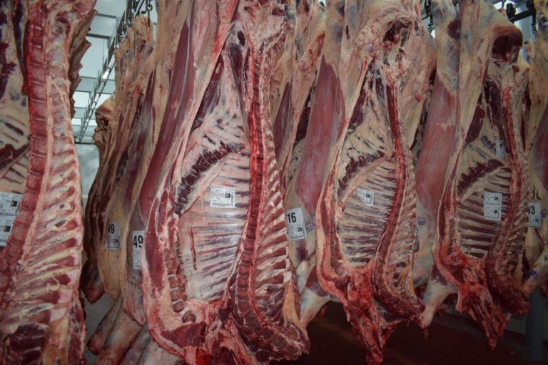 Informe AgroIdeas: Coronavirus y el impacto en la Carne
