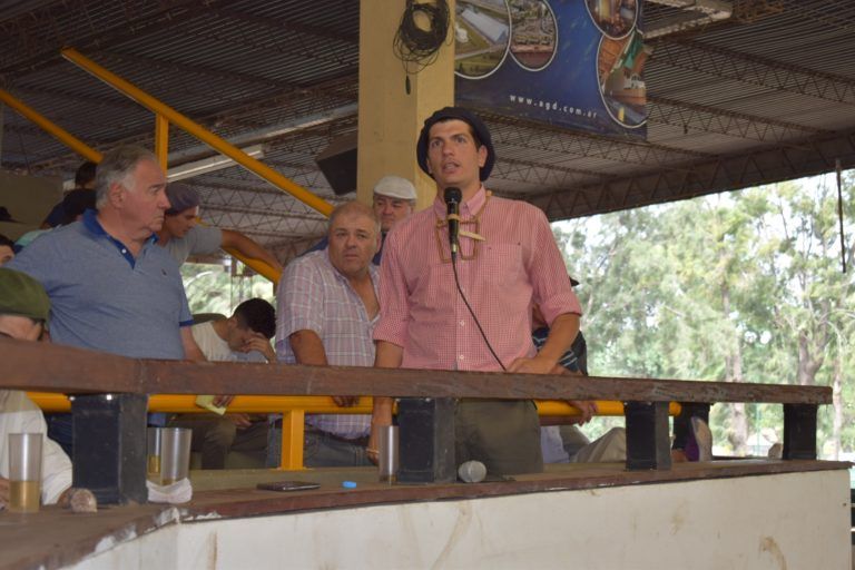 Remate de Hacienda en Jesús María: Consignaciones rematará 900 cabezas