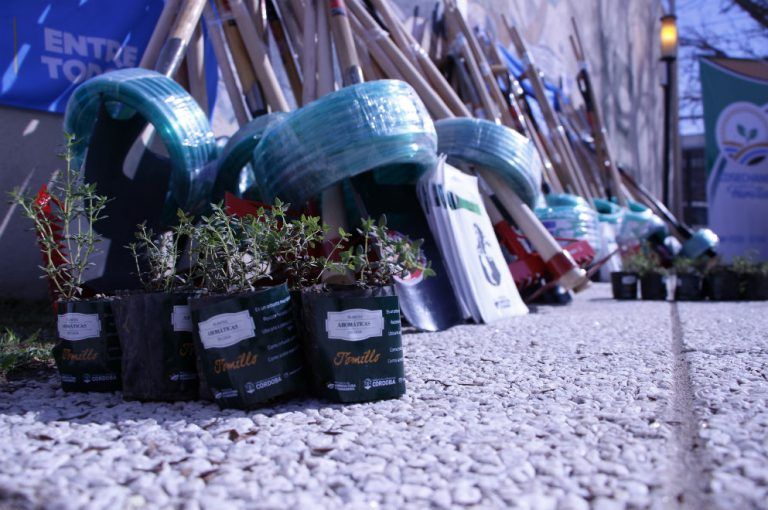 Agricultura: “Cosechando para mi Familia” entregará 347 kits de huerta.