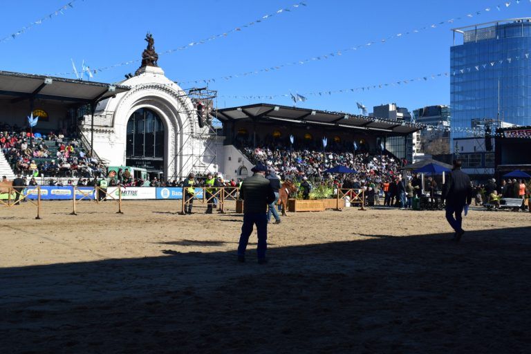Rural de Palermo: cerró la muestra con mayor número de visitantes.
