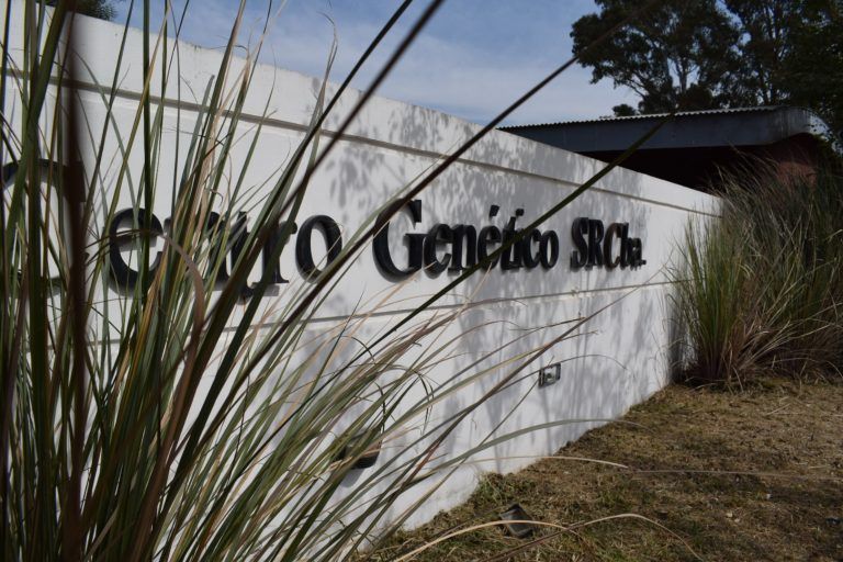 Buscan la reapertura del Centro de Genética Animal de la Rural de Córdoba.