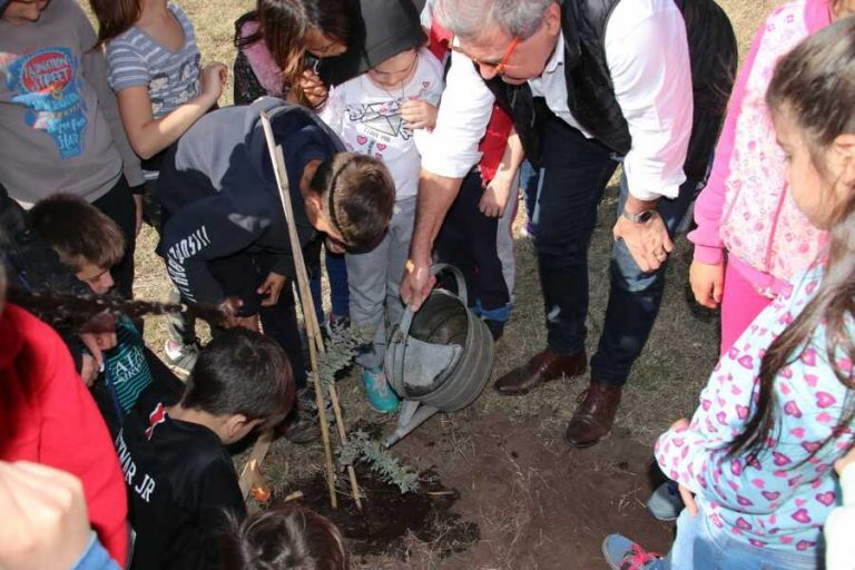Día del Árbol: una jornada, cinco lugares, miles de chicos y chicas.