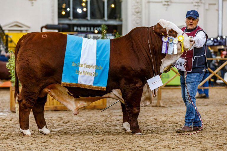 La Genética cordobesa pisó fuerte en la Exposición Rural de Palermo.