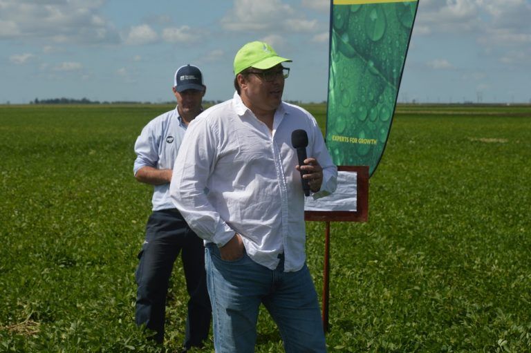 Compo Expert: En Soja la fertilización foliar se transforma en rinde
