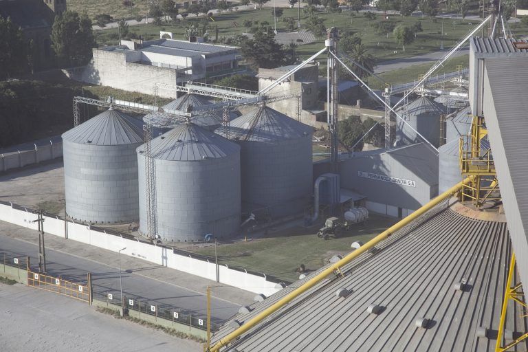 Acuerdo histórico: Argentina ingresará a China con su Harina de Soja.