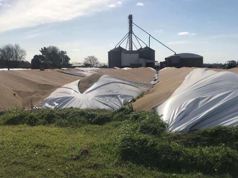 La respuesta del Gobierno frente a las roturas de silo bolsas.
